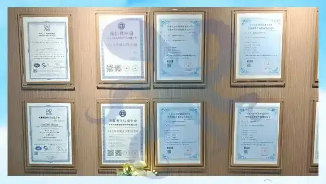 DLP厂商怎么选？国内DLP厂商十大排名为你揭晓选择DLP要注意的5点！(图2)