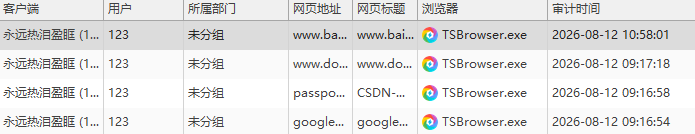 上网行为记录查询怎么做？域智盾五大功能浏览器清空历史也能溯源(图2)