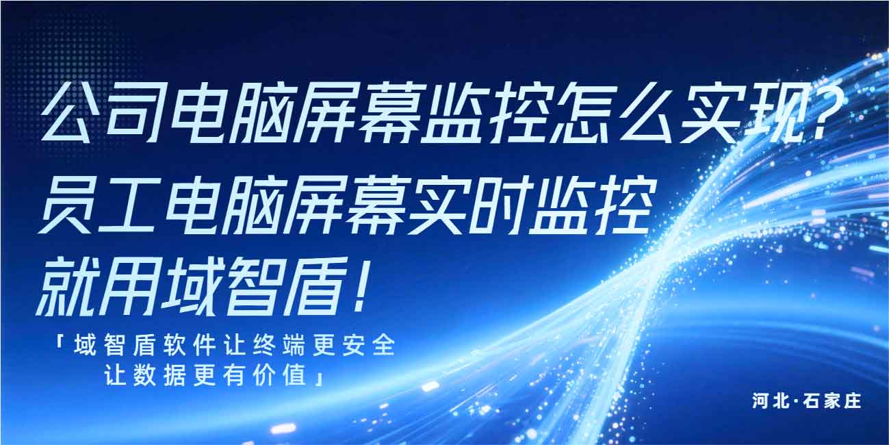 公司电脑屏幕监控怎么实现？员工电脑屏幕实时监控就用域智盾！(图1)